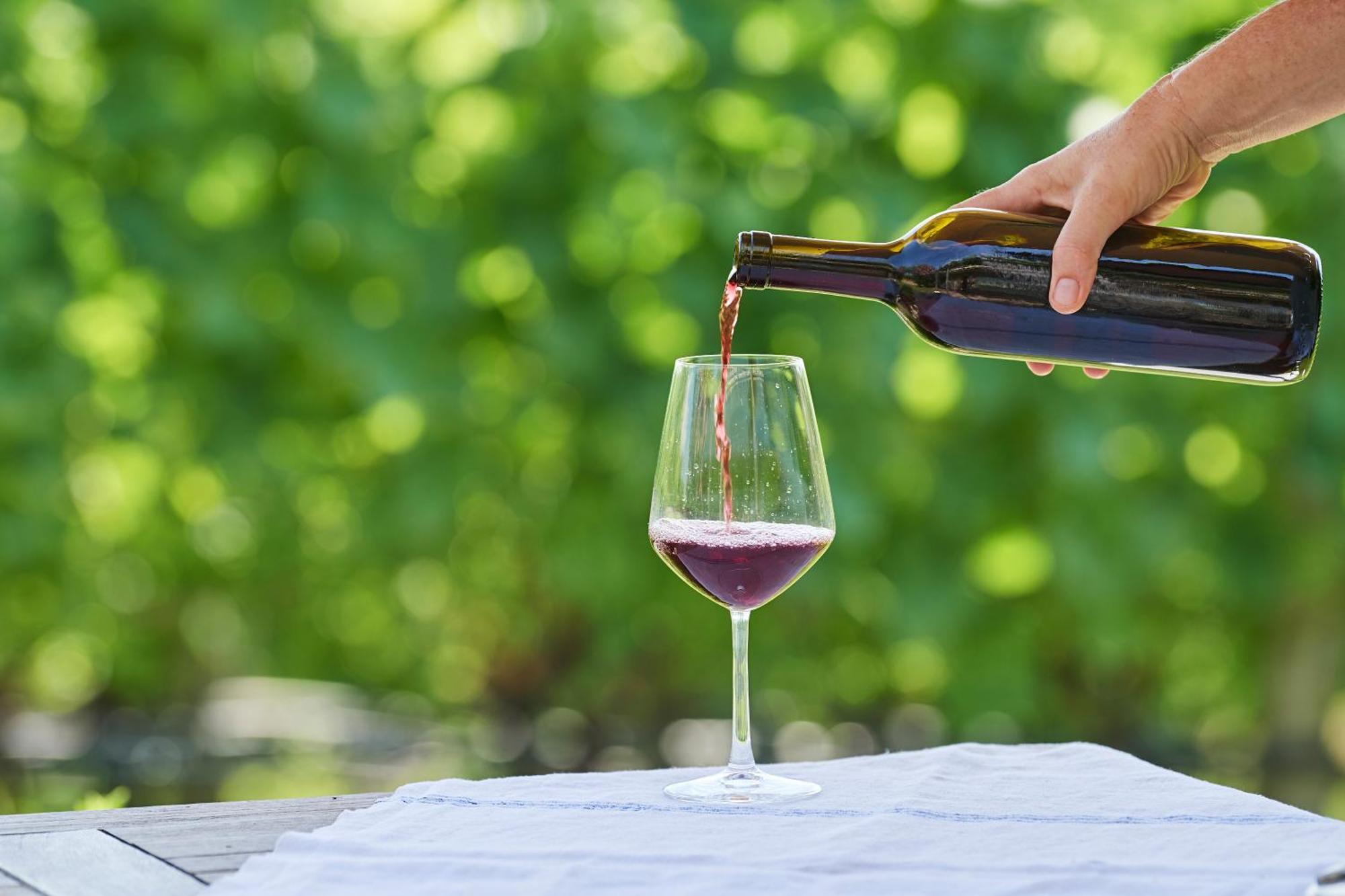 Weingut Stuck Leilighet Appiano Sulla Strada Del Vino Eksteriør bilde