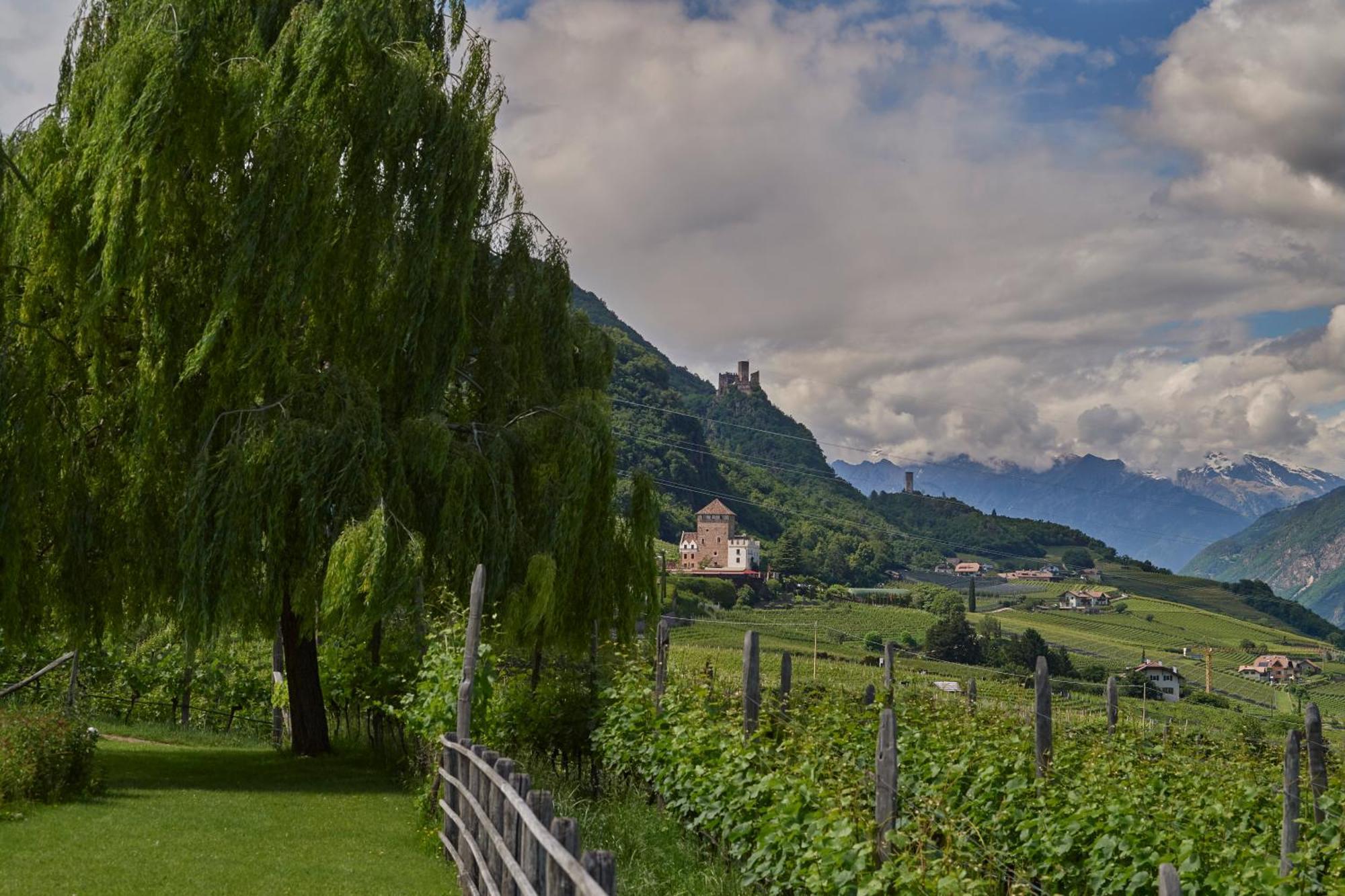 Weingut Stuck Leilighet Appiano Sulla Strada Del Vino Eksteriør bilde
