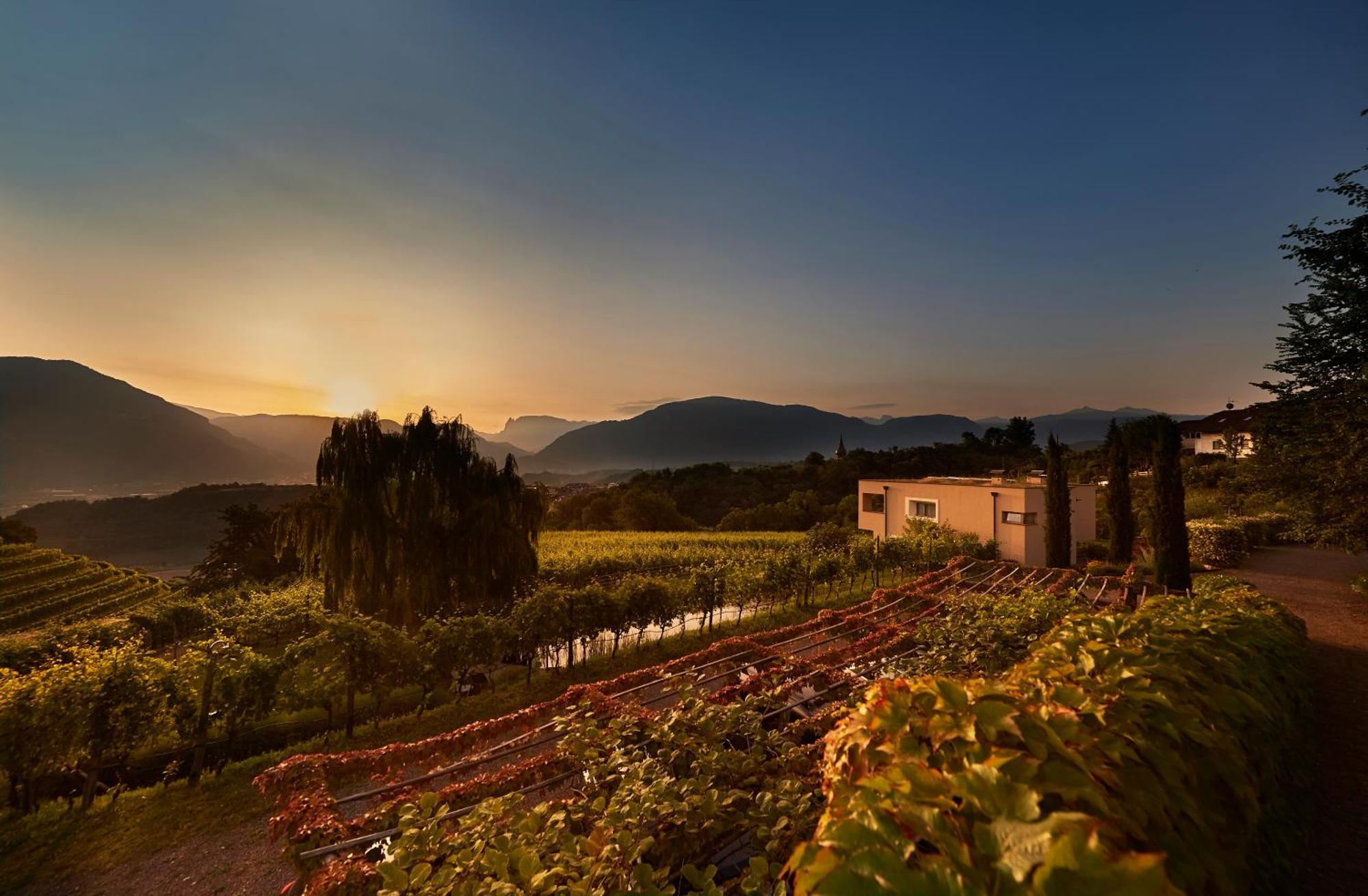 Weingut Stuck Leilighet Appiano Sulla Strada Del Vino Eksteriør bilde