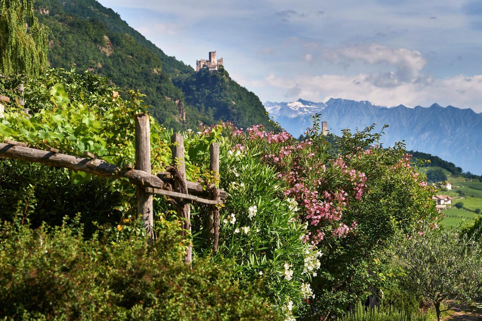 Weingut Stuck Leilighet Appiano Sulla Strada Del Vino Eksteriør bilde